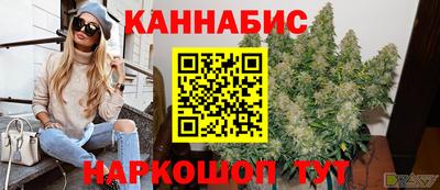 гидра Заводоуковск