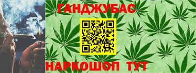 гидра Заводоуковск