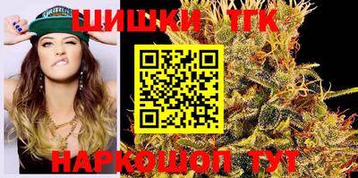 гидра Заводоуковск