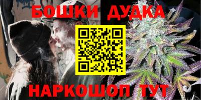 гидра Заводоуковск