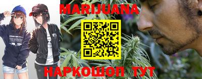гидра Заводоуковск